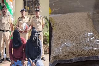 Fake Cumin Stock Seized