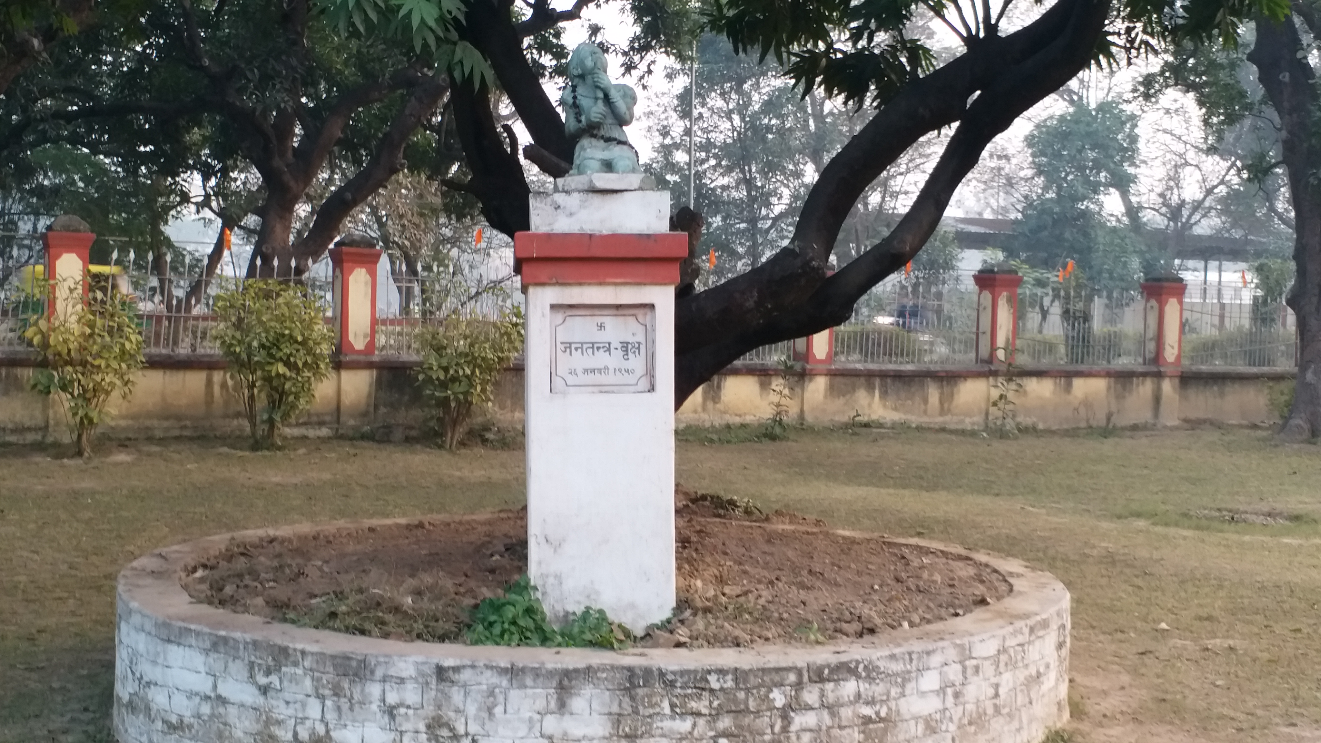 1950 में बीएचयू में लगाया गया जनतंत्र वृक्ष.