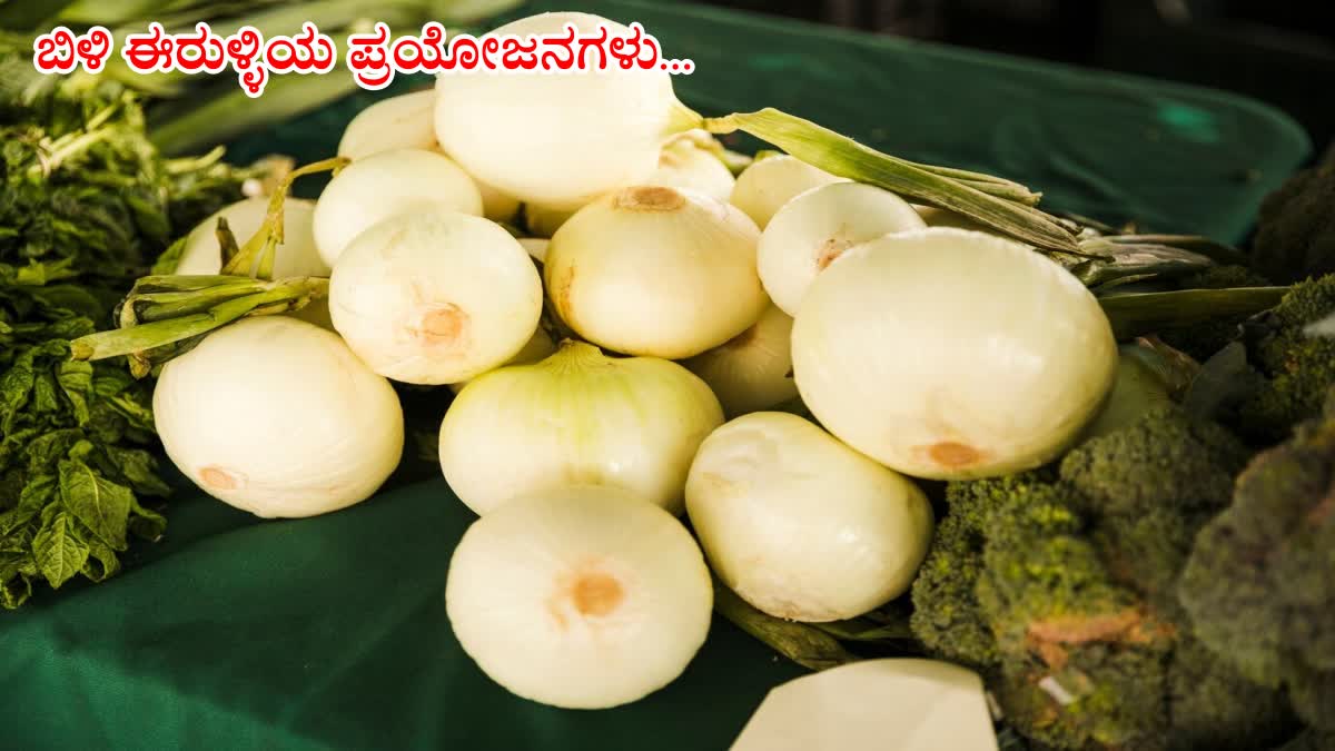 HEALTH BENEFITS OF WHITE ONION  HEALTH CARE TIPS  WHITE ONIONWHITE ONION  ಬಿಳಿ ಈರುಳ್ಳಿಯ ಪ್ರಯೋಜನಗಳು