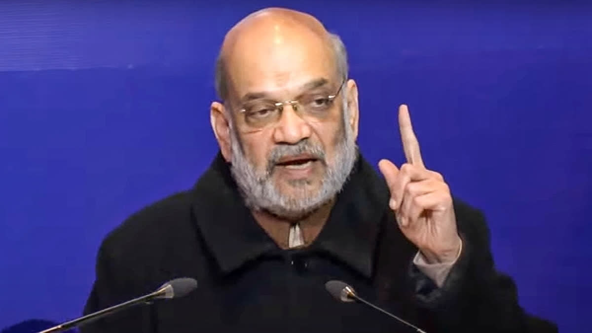 'Aawaidh Aamdaniwali Party', Amit Shah Coins New Acronym For AAP At Delhi Rally