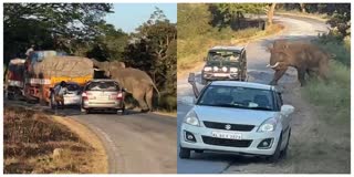 wild-elephant-attacks-lorry-in-bandipur