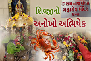 ભગવાન શંકરના શિવલિંગ પર, ચડાવવામાં આવે છે જીવતા કરચલા