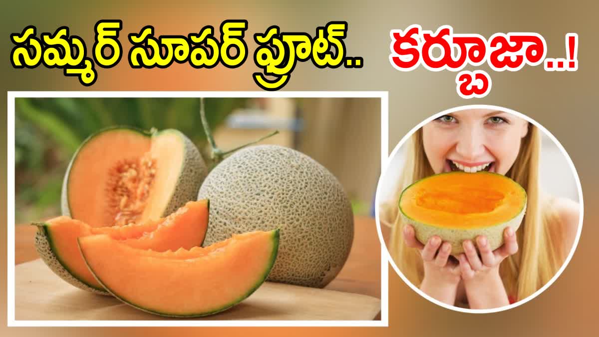 Muskmelon Benefits