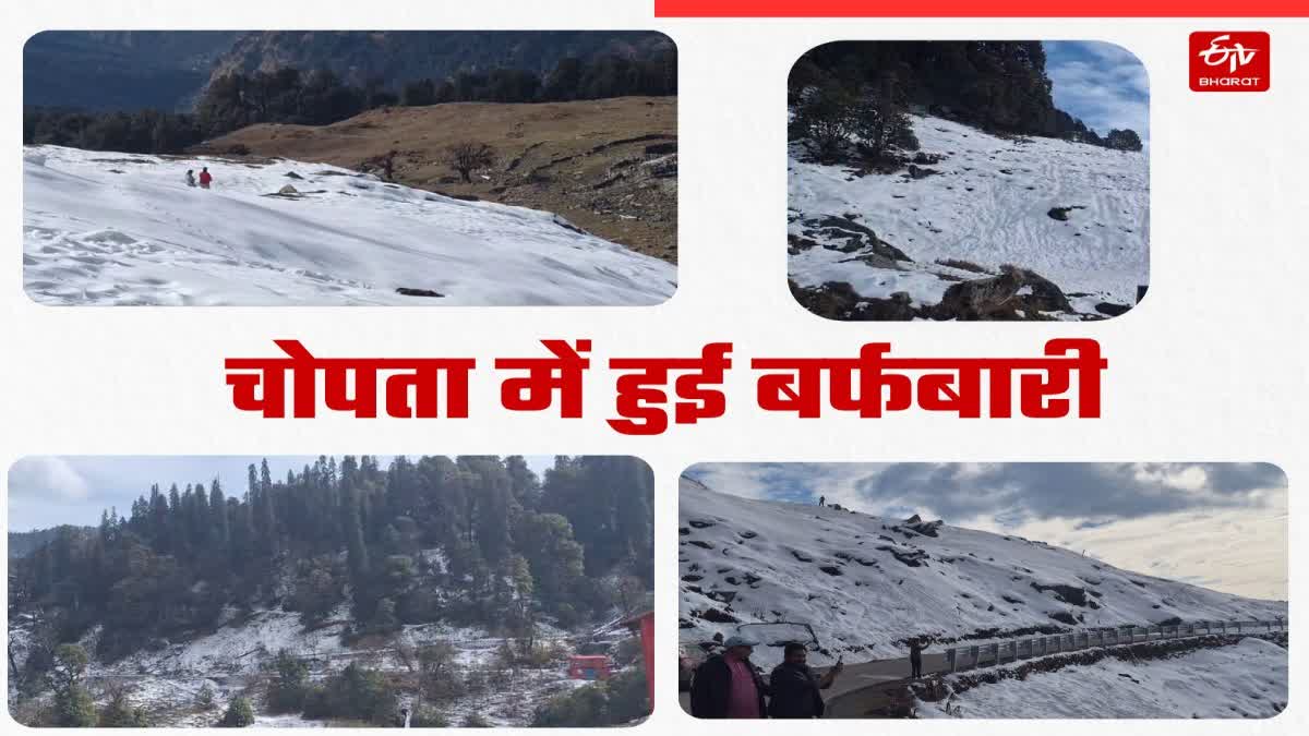 Snowfall in Chopta