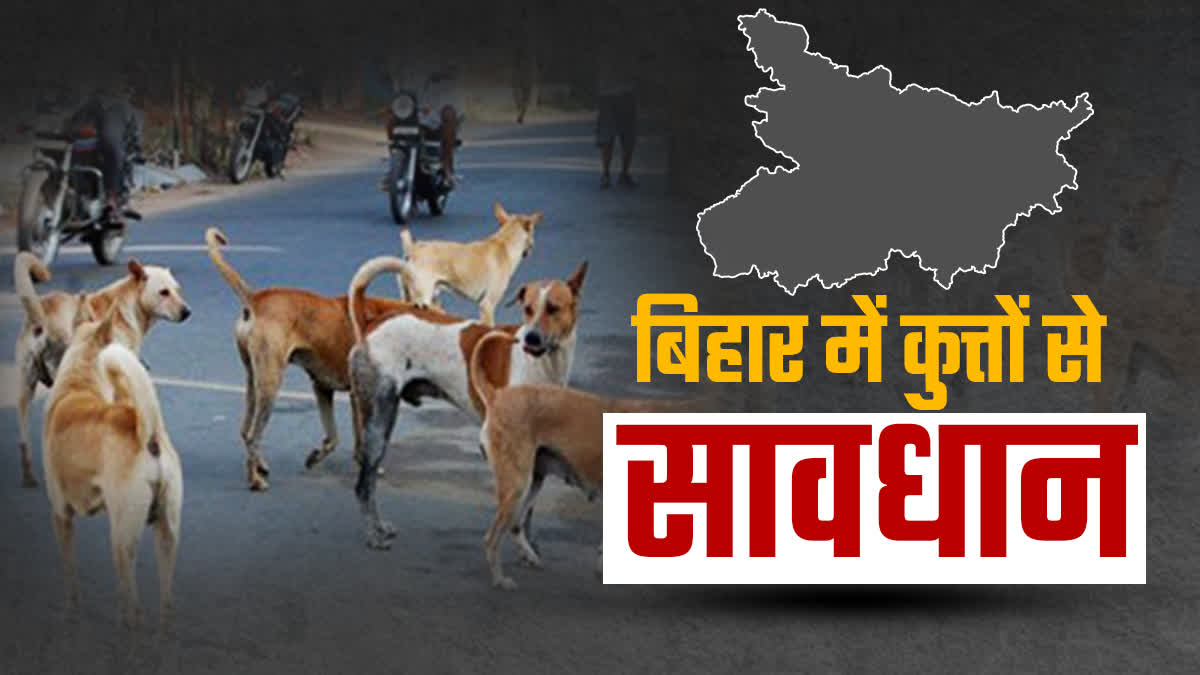 Dog Bite In Bihar Etv Bharat