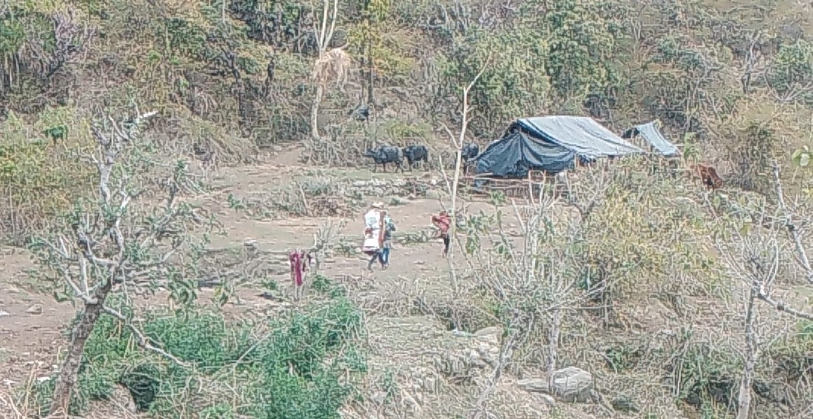 Dehradun Leopard Attack