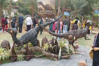 Flower exhibition in Noida