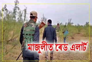 মাজুলীত বন বিভাগৰ ৰেড এলাৰ্ট; গঁড় বিচাৰি বন বিভাগৰ অভিযান