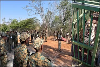 One year to Leopard Task Force: Captured 77 leopard and rescued 14 cubs