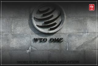 WTO MC13