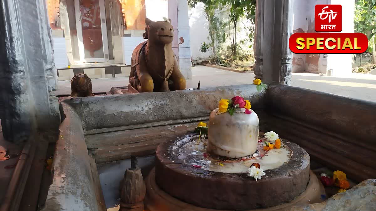 Rajeshwar Mahadev Temple of Bharatpur