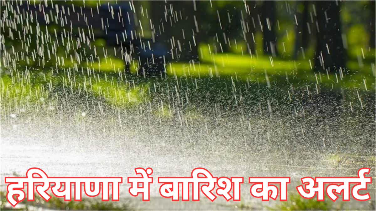 HARYANA WEATHER UPDATE