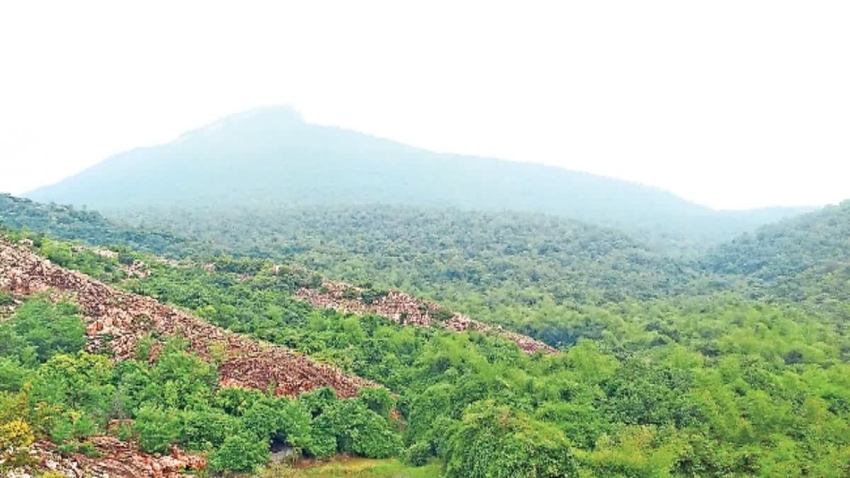 Natural_Beauty_of_Srikalahasti