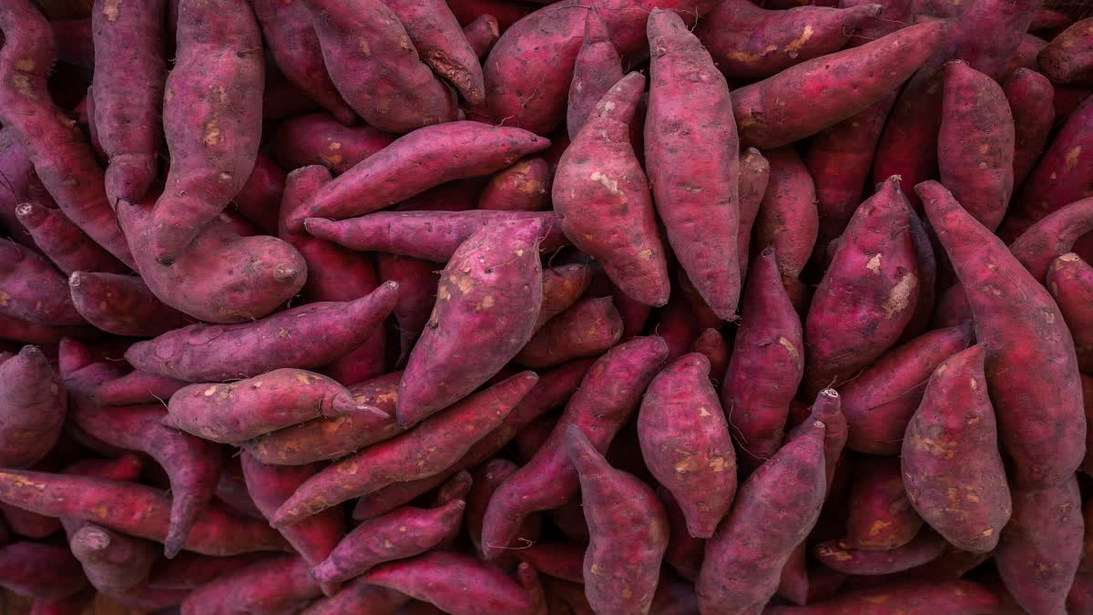 Sweet Potato Cooking Tips