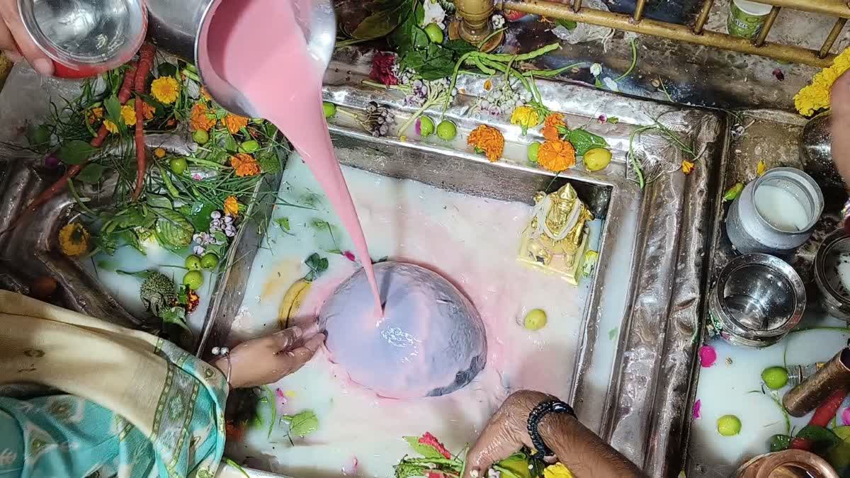 शिवालयों में भक्तों ने की पूजा अर्चना