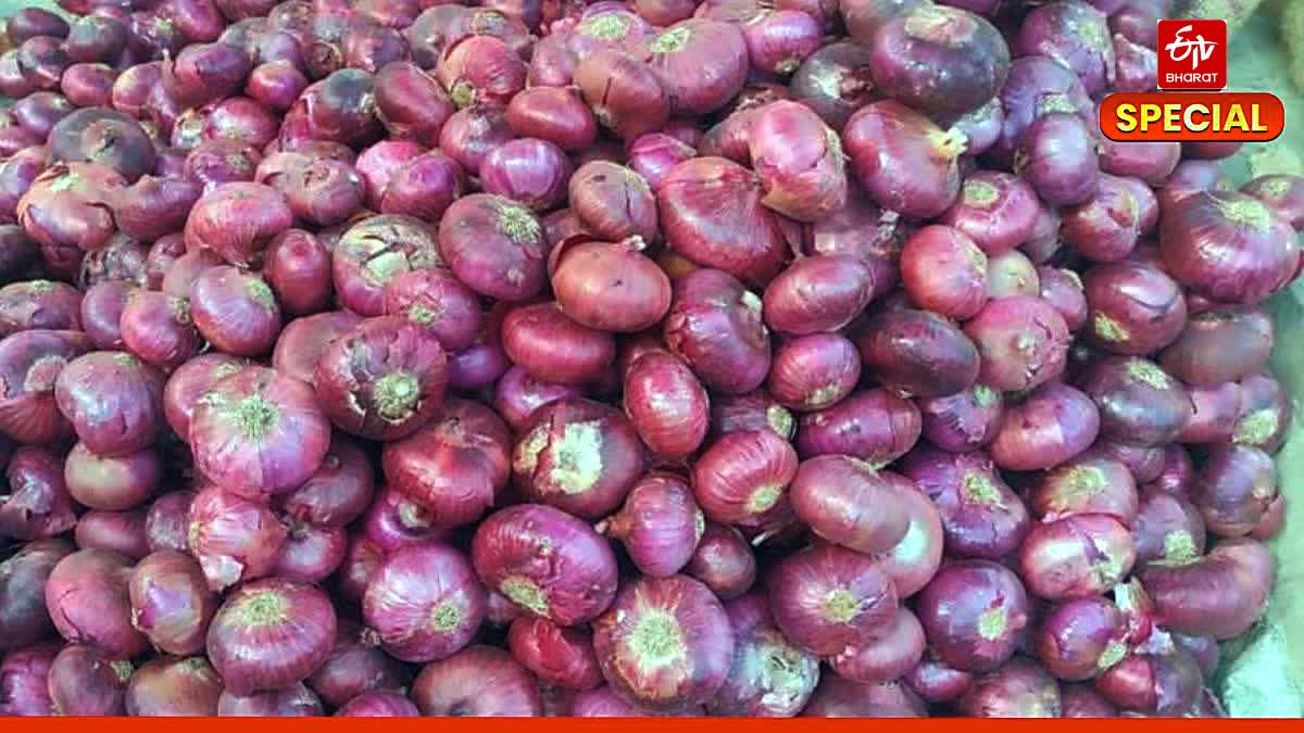 Red Onion Revolution: How Alwar Farmers Reap Big Profits, Boosting Rajasthan's Economy