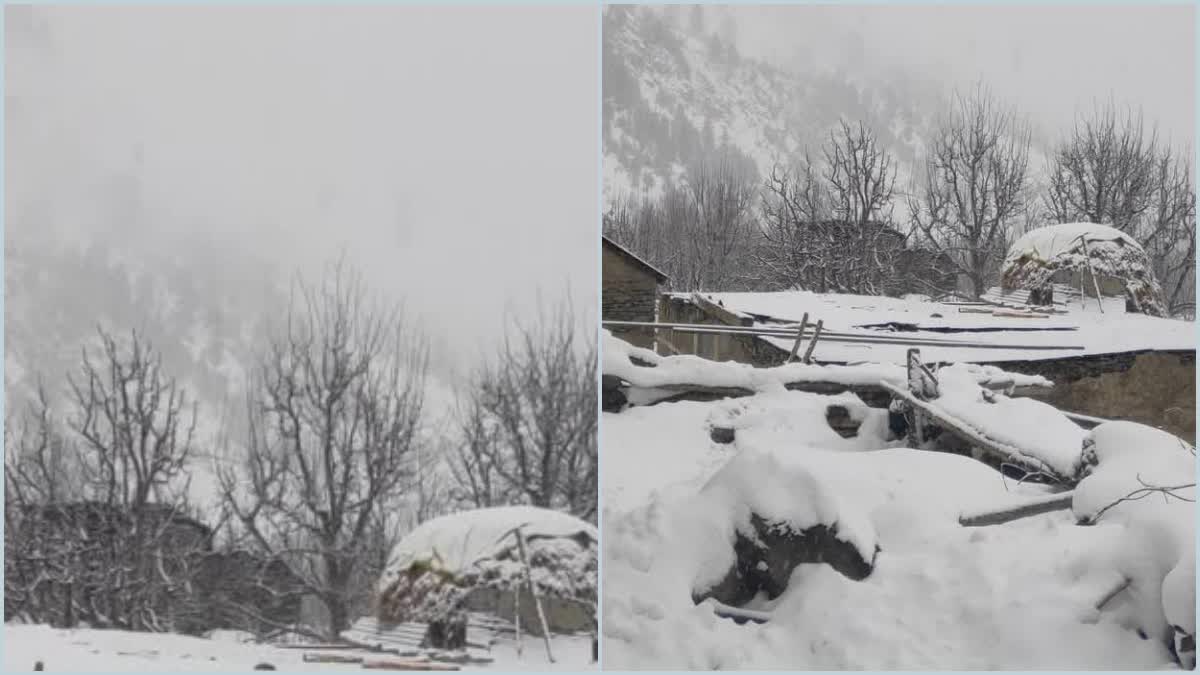 snowfall in Lahaul Spiti