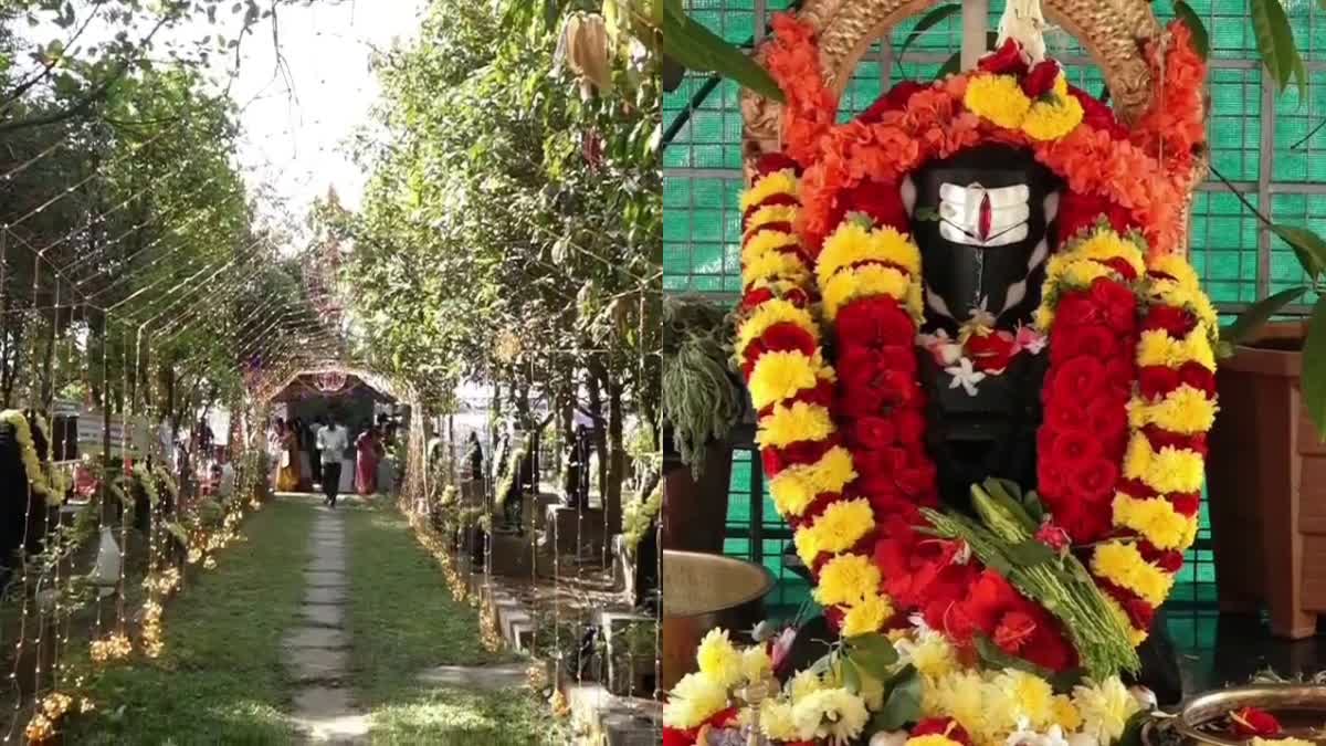 Shiva Worship In The Lap Of Nature At Shivamogga; Nurturing Endangered Plants And Trees