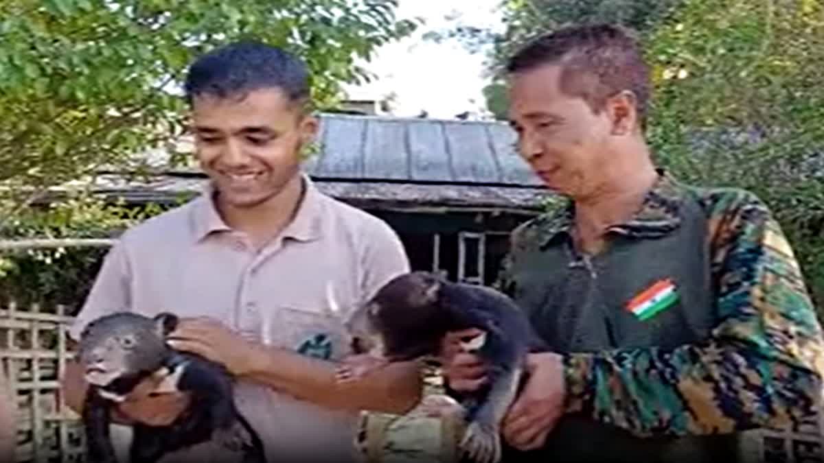 Bear cub rescued in Jorhat