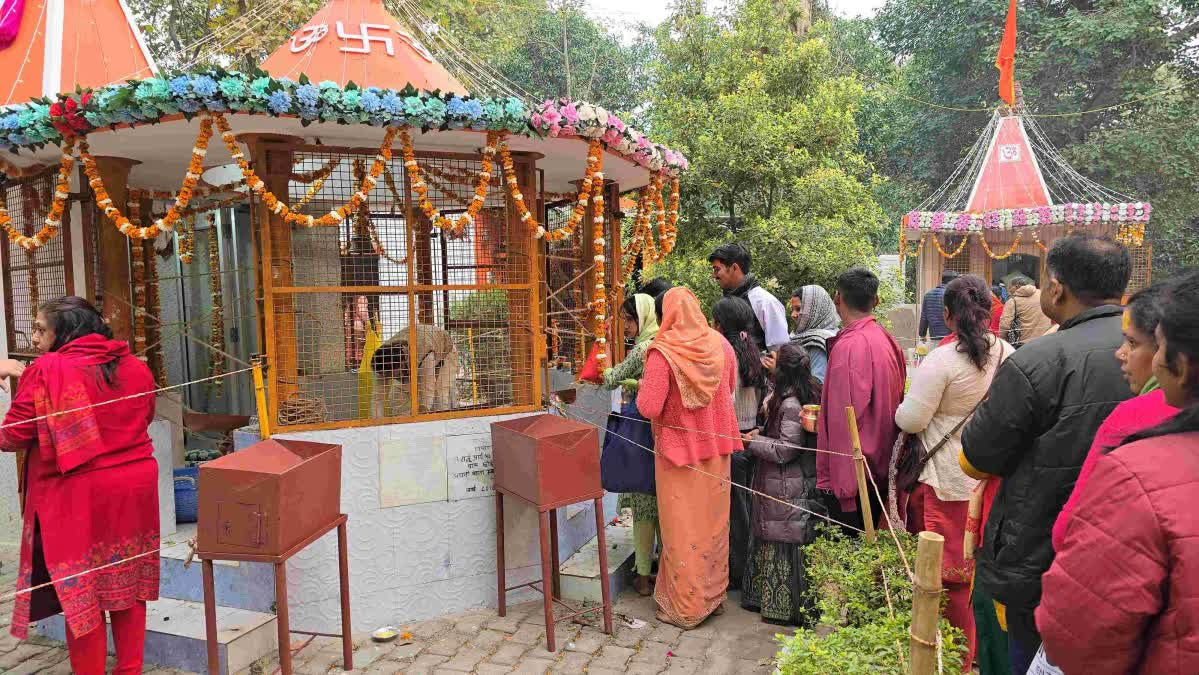 Devotees across the country are performing Dudhbhishek and Rudrabhishek of Lord Shiva on Mahashivratri with temples resonating with chants of 'Bam Bam Bhole' and 'Har Har Mahadev'. A religious belief is associated with the festival, like others.