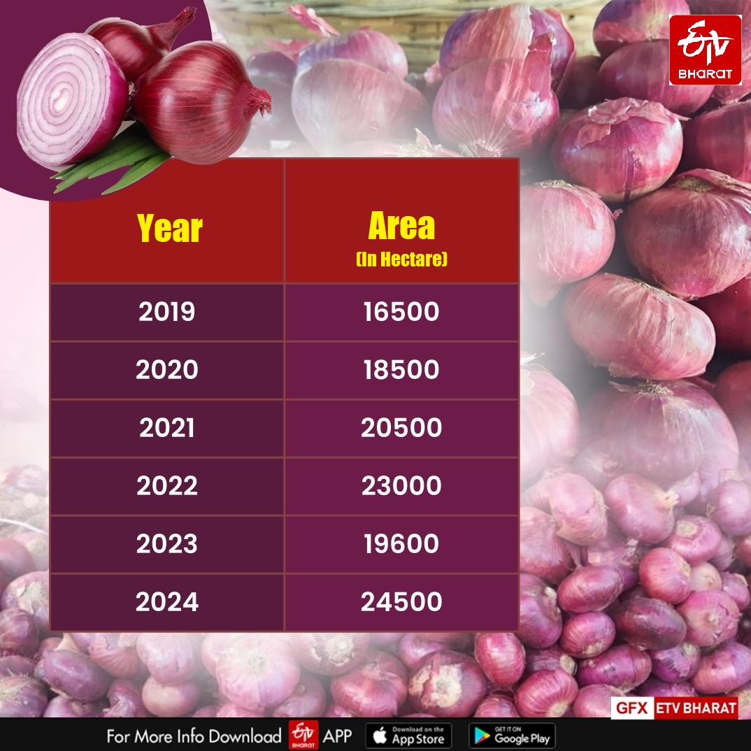 Red Onion Revolution: How Alwar Farmers Reap Big Profits, Boosting Rajasthan's Economy