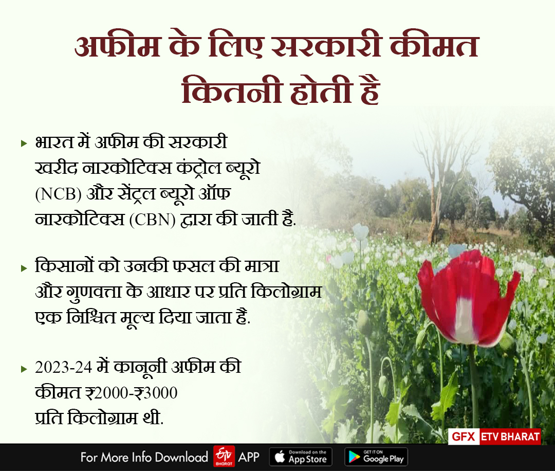 Opium in Jharkhand