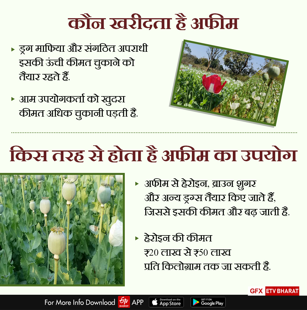 Opium in Jharkhand