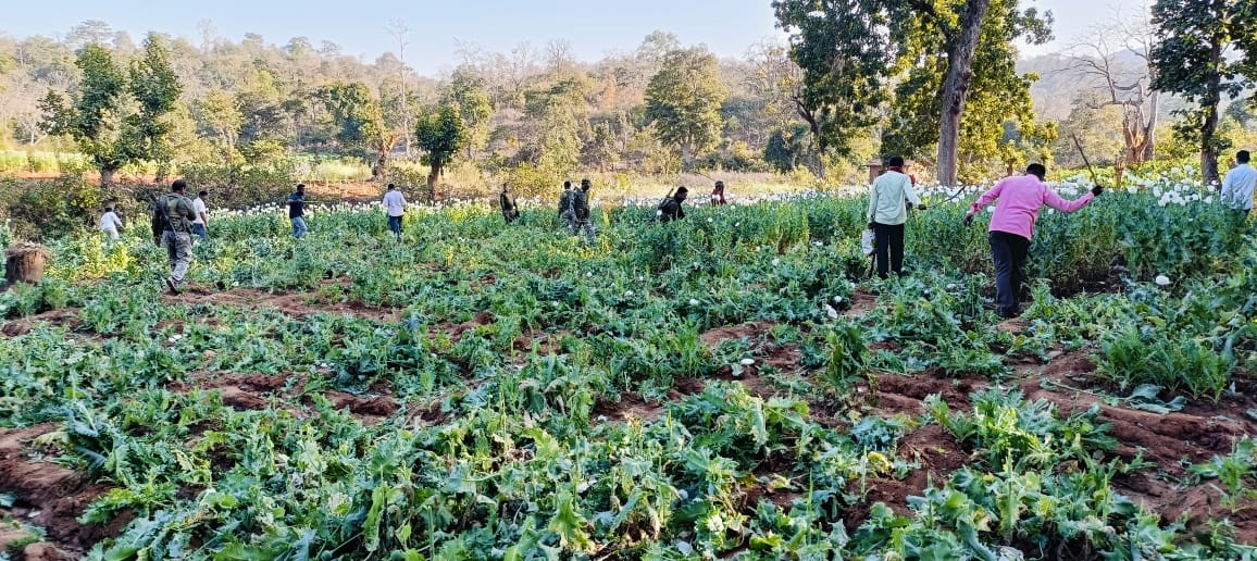 OPIUM IN JHARKHAND