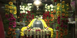 Mahashivratri celebrations