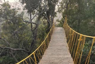 Haldwani Eco Bridge