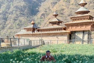 Hanol Mahasu Devta Temple Nagaras Flowers