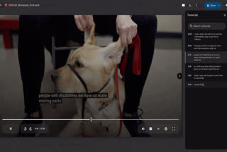 Google Introduces Video Transcripts For Easier Navigation In Google Drive: Here's How It Works