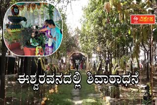 MAHASHIVRATRI CELEBRATIONS AT ESHWARAVANA IN SHIVAMOGGA