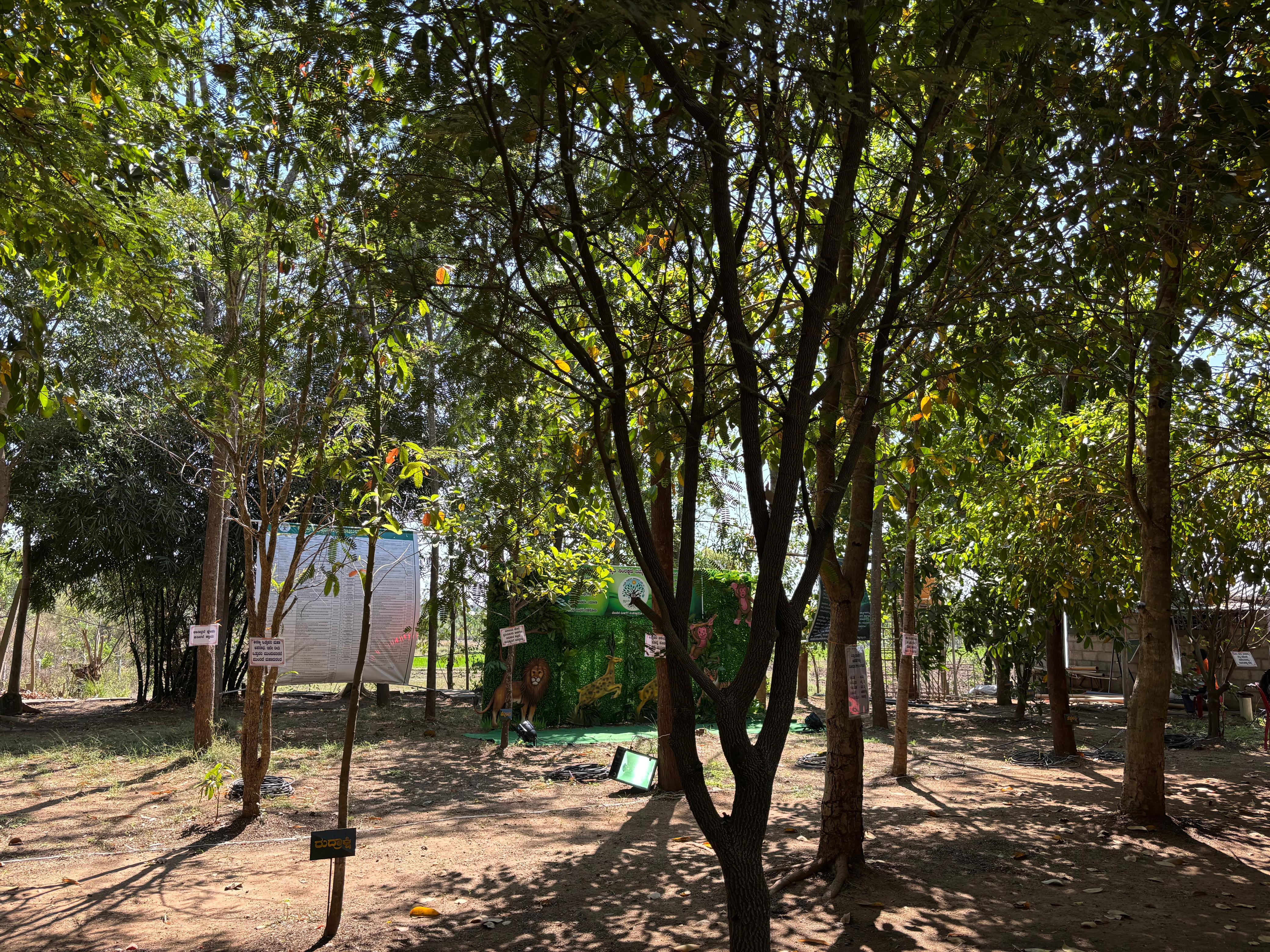 Shiva Worship In The Lap Of Nature At Shivamogga; Nurturing Endangered Plants And Trees