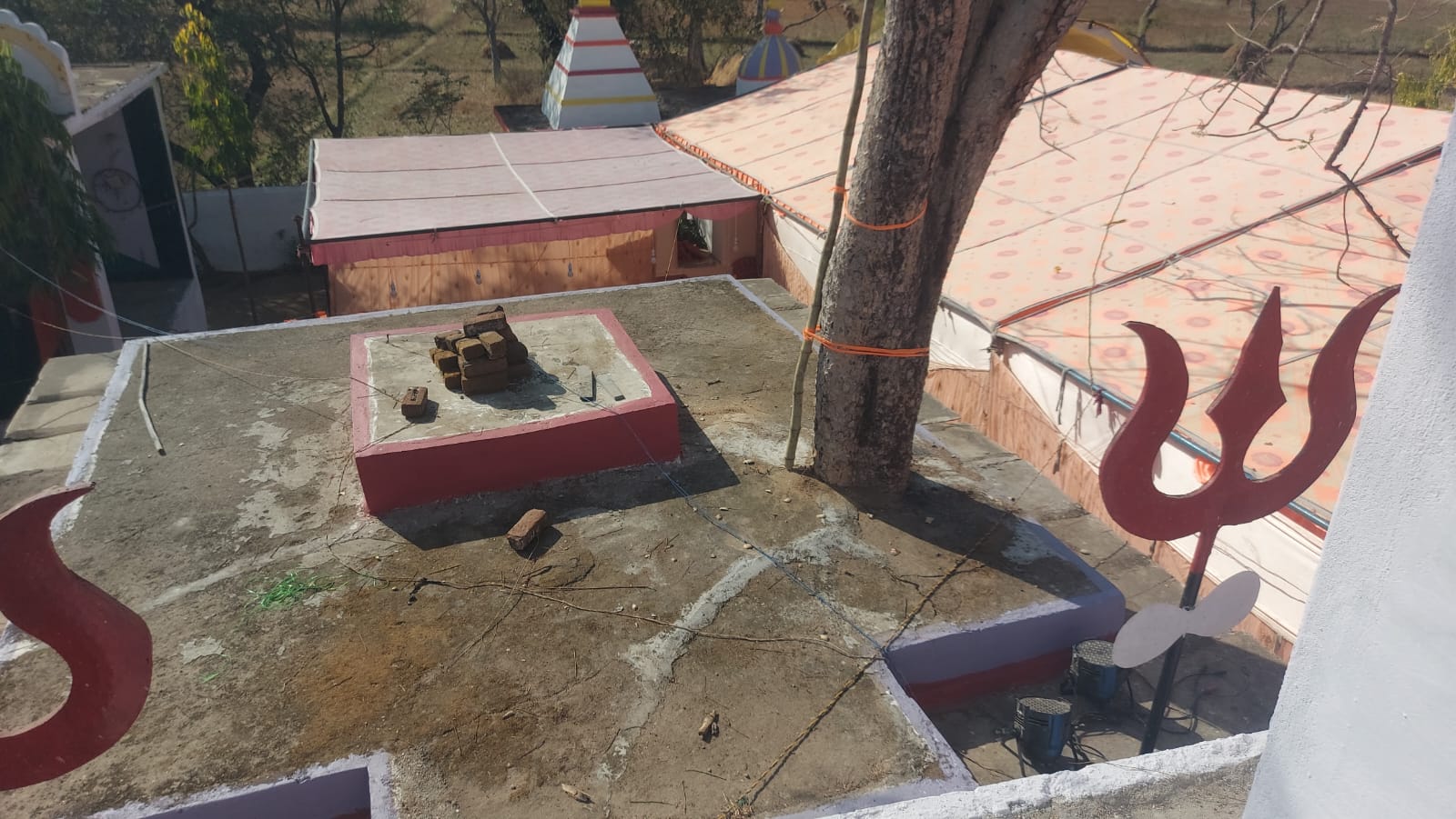 Balaghat Tree on temple roof