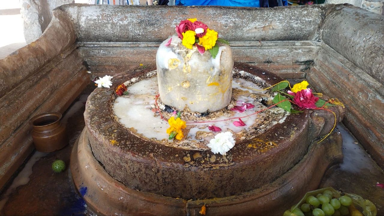 Rajeshwar Mahadev Temple of Bharatpur