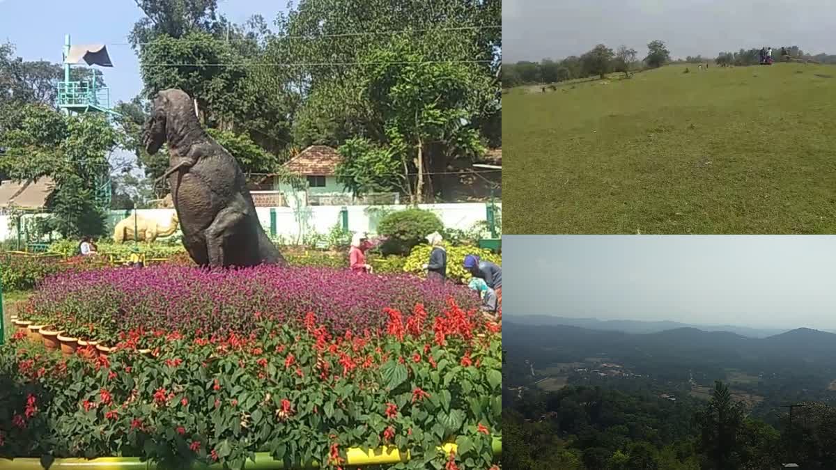 RAJAS SEAT GARDEN  RAJAS SEAT GARDEN IN MADIKERI  MADIKERI GARDEN  COORG TOURIST SPOT