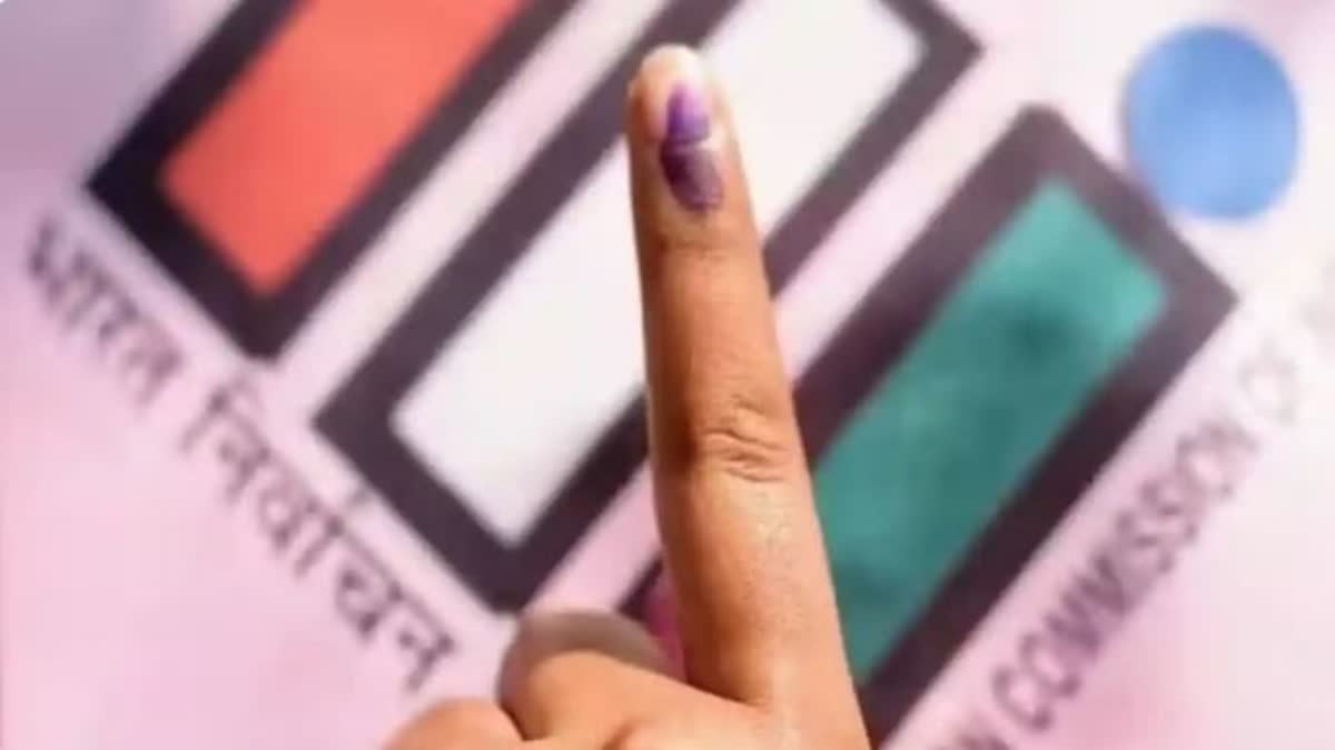 لوک سبھا انتخابات میں آپ بغیرووٹر آئی ڈی کارڈ کے بھی ووٹ ڈال سکتے ہیں
