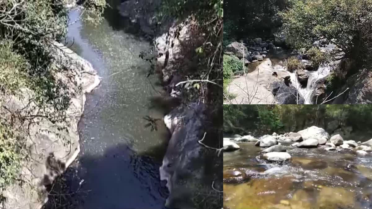 PAMBAR RIVER IN IDUKKI  PAMBAR RIVER  WATER RESOURCE IN IDUKKI  PAMBAR IRRIGATION IDUKKI