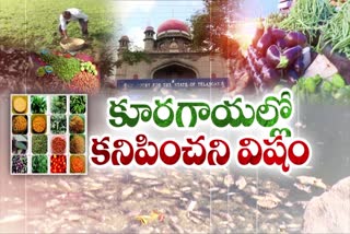 High Court on Vegetables cultivation