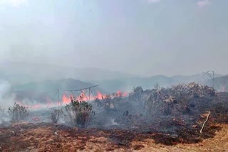 ದತ್ತಪೀಠ ಬೆಟ್ಟ ಪ್ರದೇಶದಲ್ಲಿ ಬೆಂಕಿ