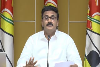 TDP_Neelayapalem_Vijay_Kumar_on_TTD