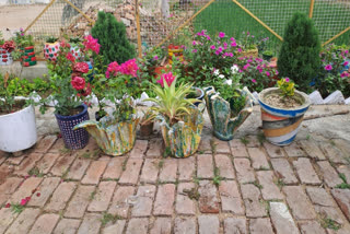 anjeel Ur Rahman Khan, an artist has been crafting stylish plant pots by using old clothes and cement for years. Tanjeel, a resident of Niskha village of Bihar’s Gaya has prepared hundreds of pots using old clothes.