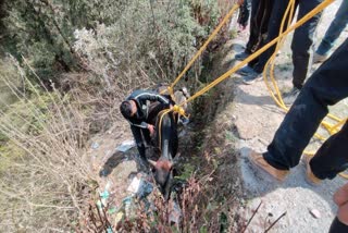 Fire Service Team Rescued Bull in Mussoorie