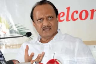 Lok Sabha Elections Sunil Tatkare Contest Loksabha from Raigad said Ajit Pawar