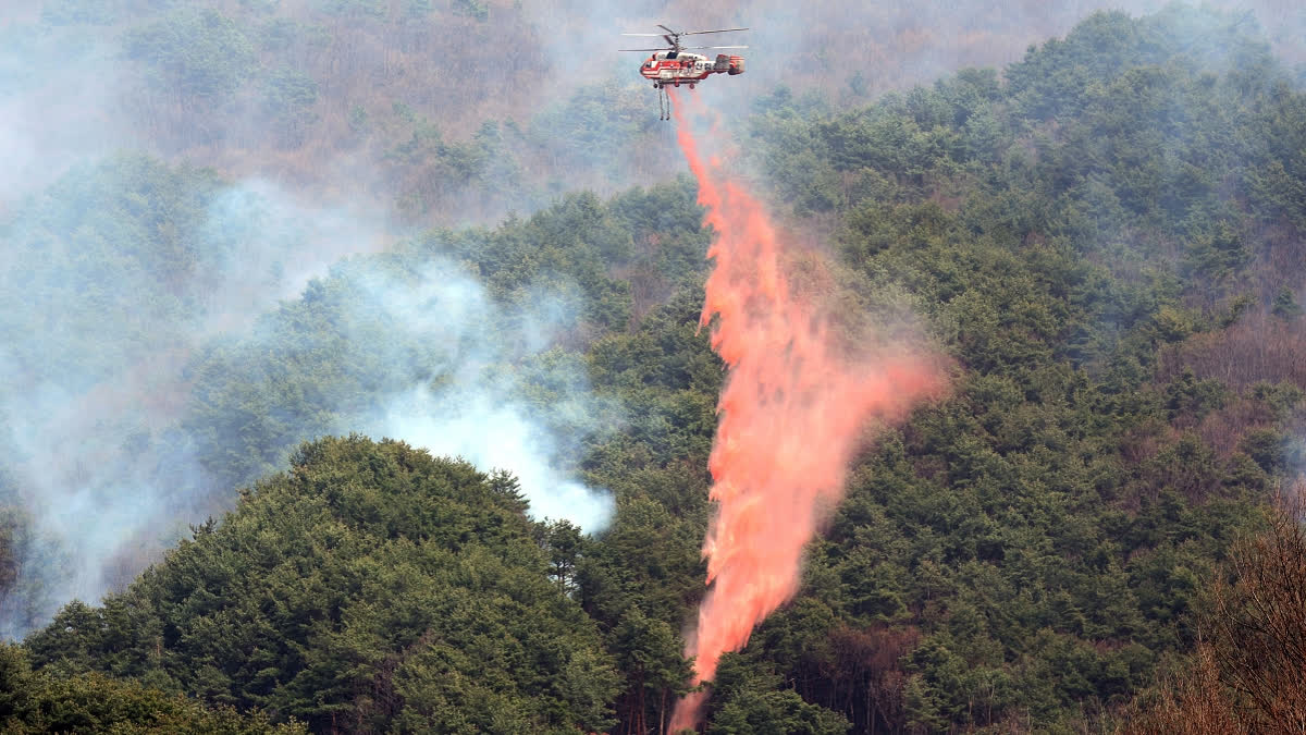 A Korea Forest Service helicopter dumps fire retardant on a wildfire in Sancheong, South Korea, Tuesday, March 25, 2025.