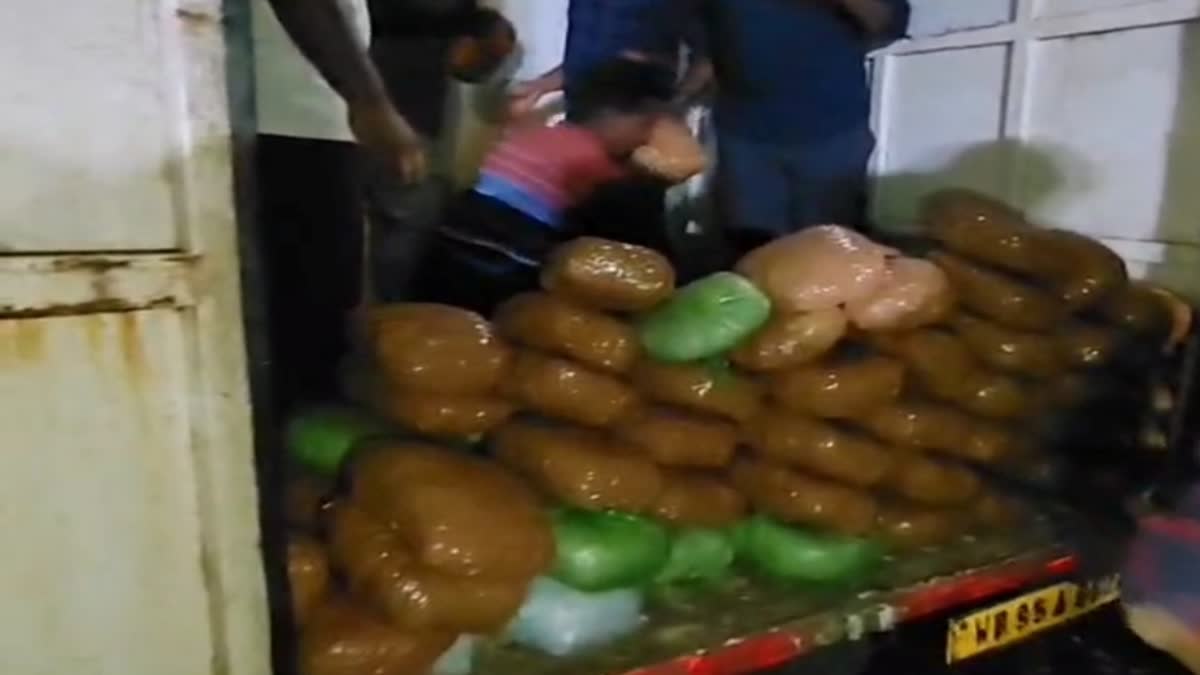 MARIJUANA SMUGGLED IN MAGRAHAT
