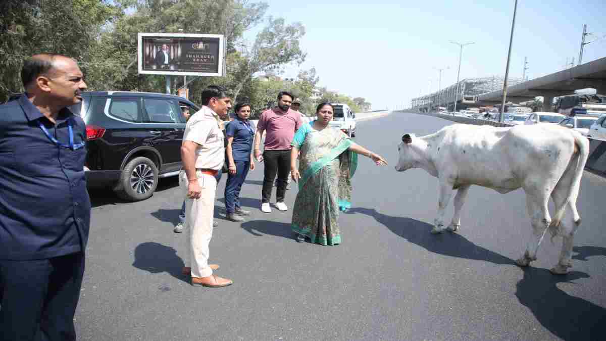 सीएम ने कार से उतरकर लिया मामले का संज्ञान