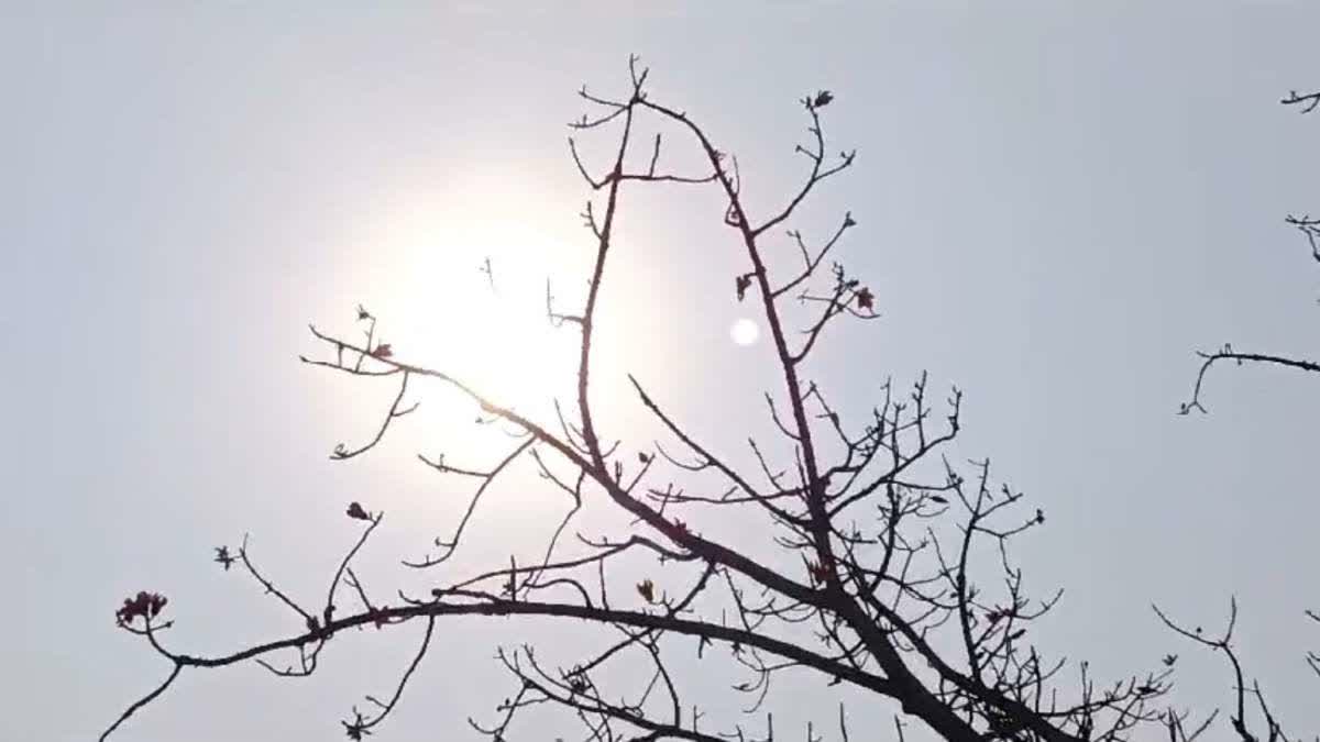 IMD On Odisha Weather