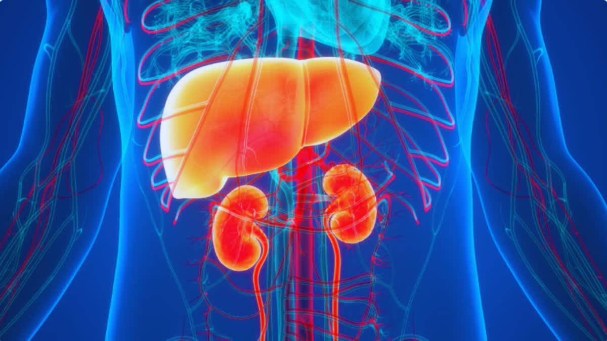 SYMPTOMS OF FAILURE OF BOTH KIDNEYS
